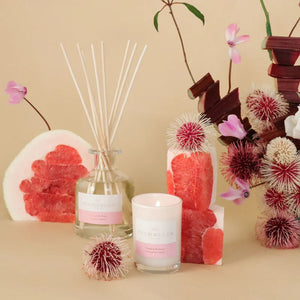 Palm Beach Standard Diffuser Pomelo and Dewberry