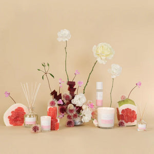 Palm Beach Standard Diffuser Pomelo and Dewberry