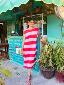 Haven Jardin Stripe Tshirt Dress Garnet