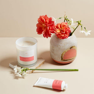 Palm Beach Standard Candle Posy - 5Five7Five